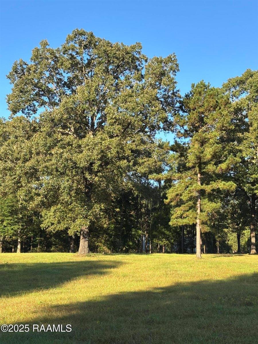 399 Athus Melder, Forest Hill, LA 71430