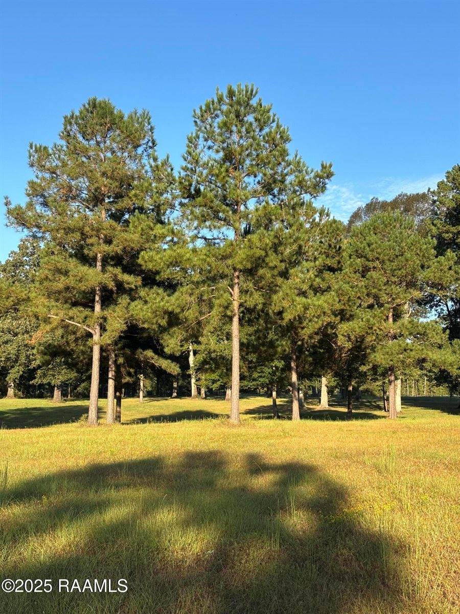 399 Athus Melder, Forest Hill, LA 71430