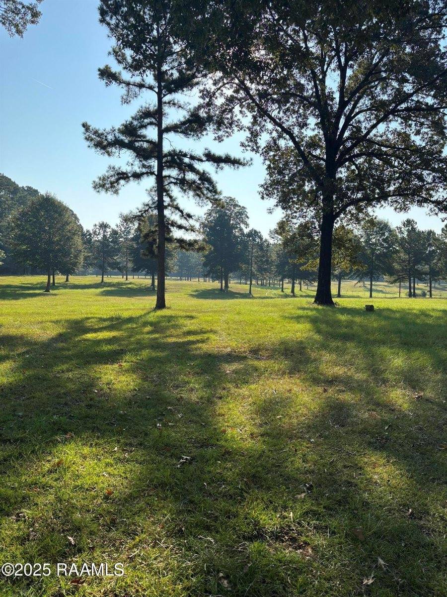 399 Athus Melder, Forest Hill, LA 71430