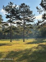 399 Athus Melder, Forest Hill, LA 71430