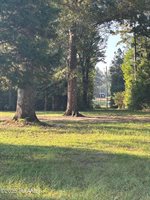 399 Athus Melder, Forest Hill, LA 71430