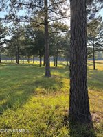 399 Athus Melder, Forest Hill, LA 71430