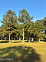 399 Athus Melder, Forest Hill, LA 71430