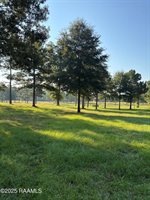 399 Athus Melder, Forest Hill, LA 71430