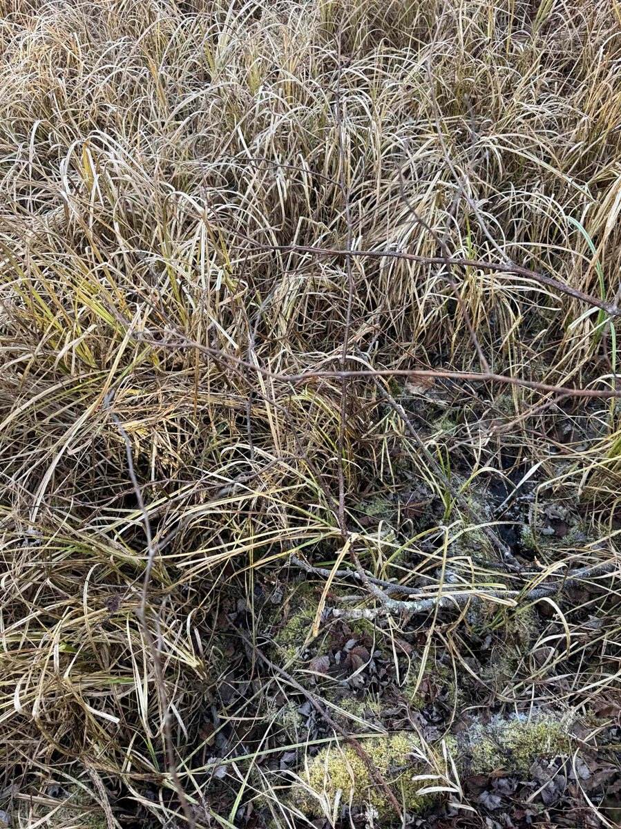 Airport Road, #4, Crivitz, WI 54114