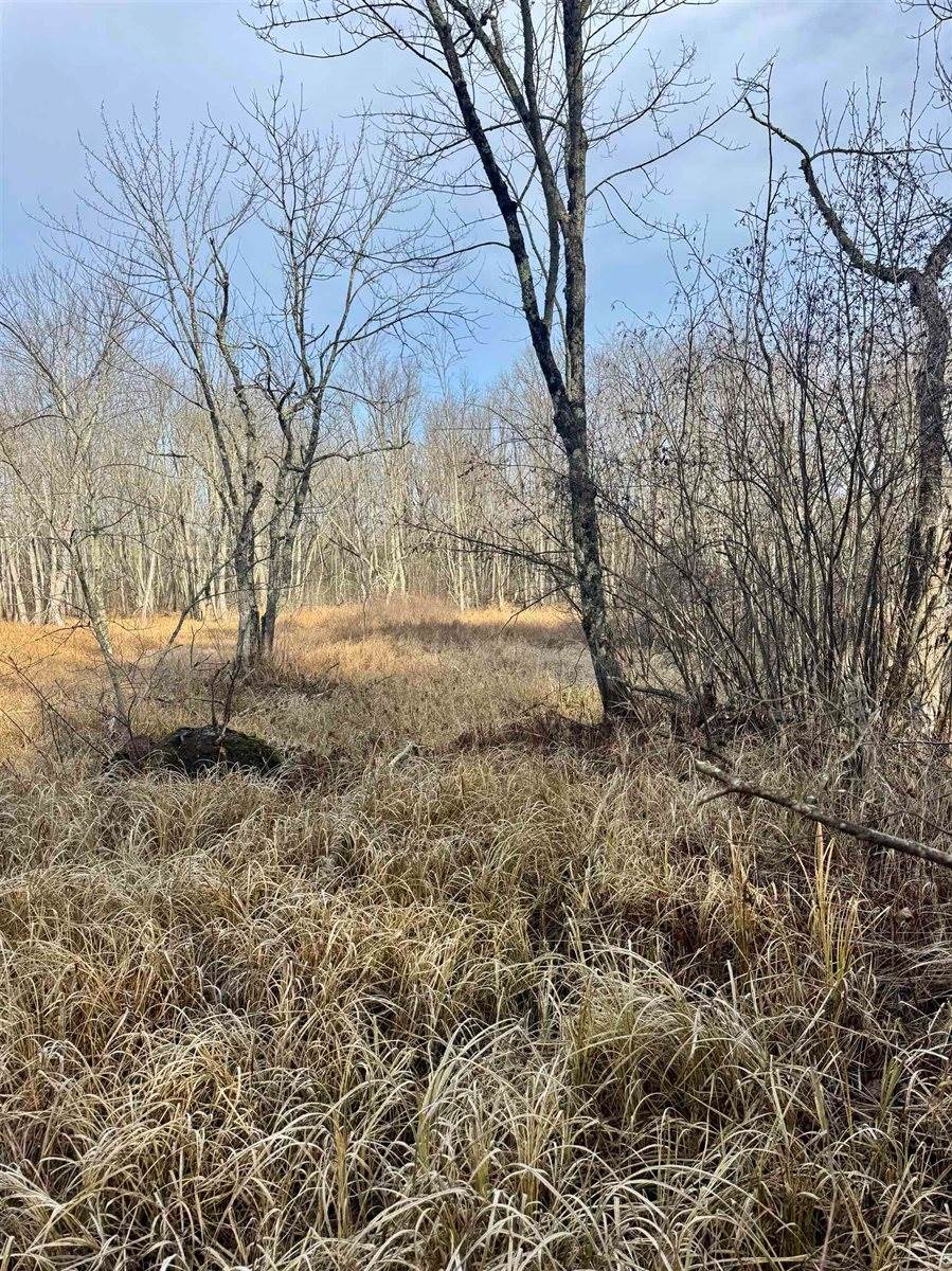 Airport Road, #4, Crivitz, WI 54114