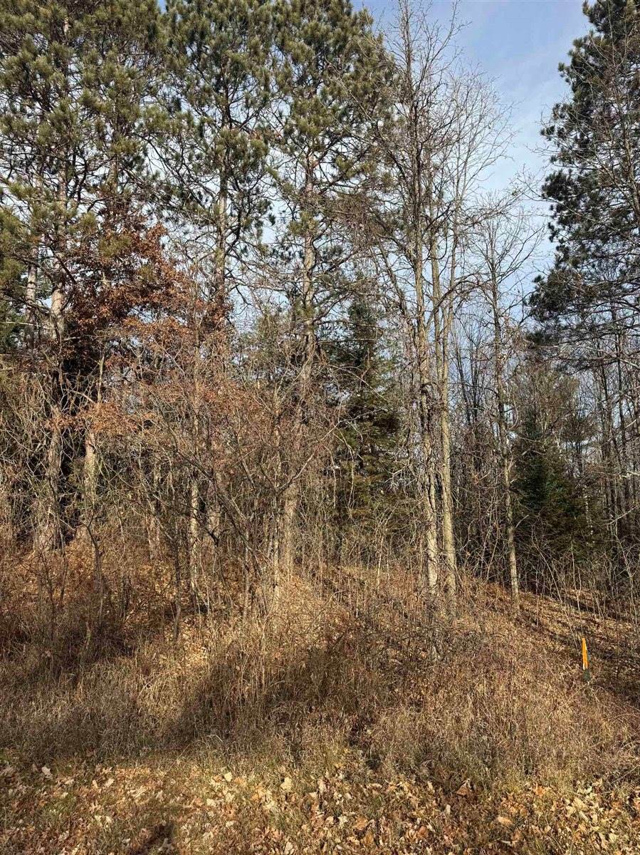 Airport Road, Crivitz, WI 54114