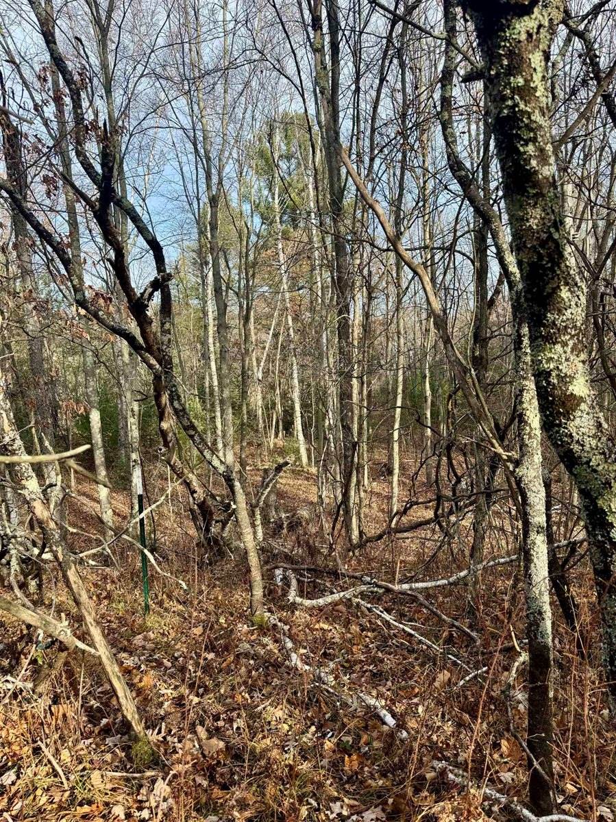 Airport Road, Crivitz, WI 54114