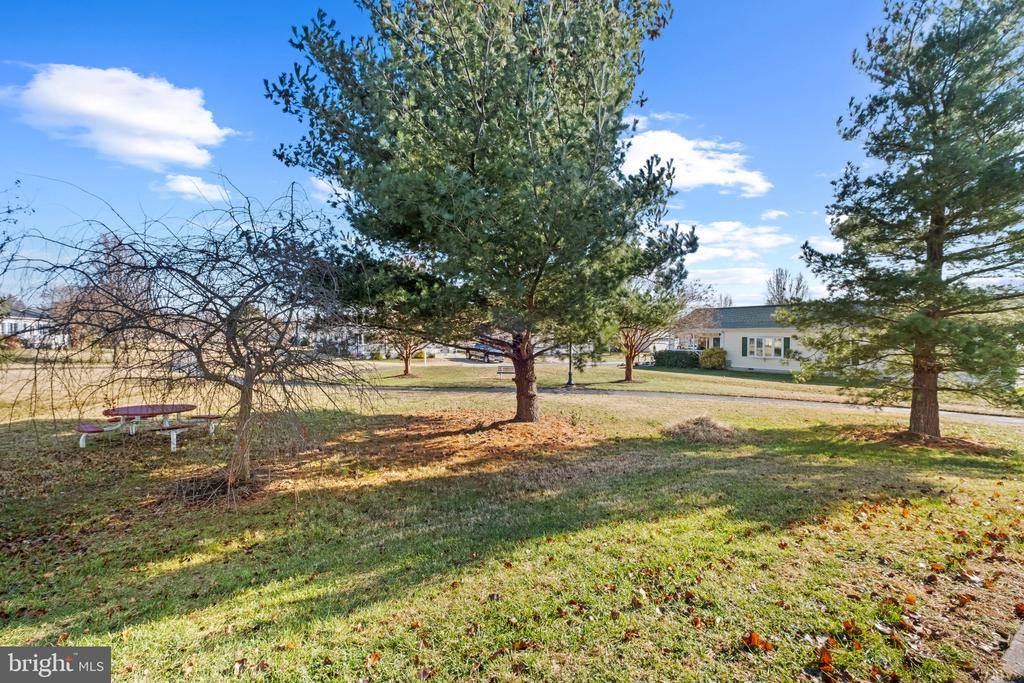 55 Wallace Lane, Camden, DE 19934