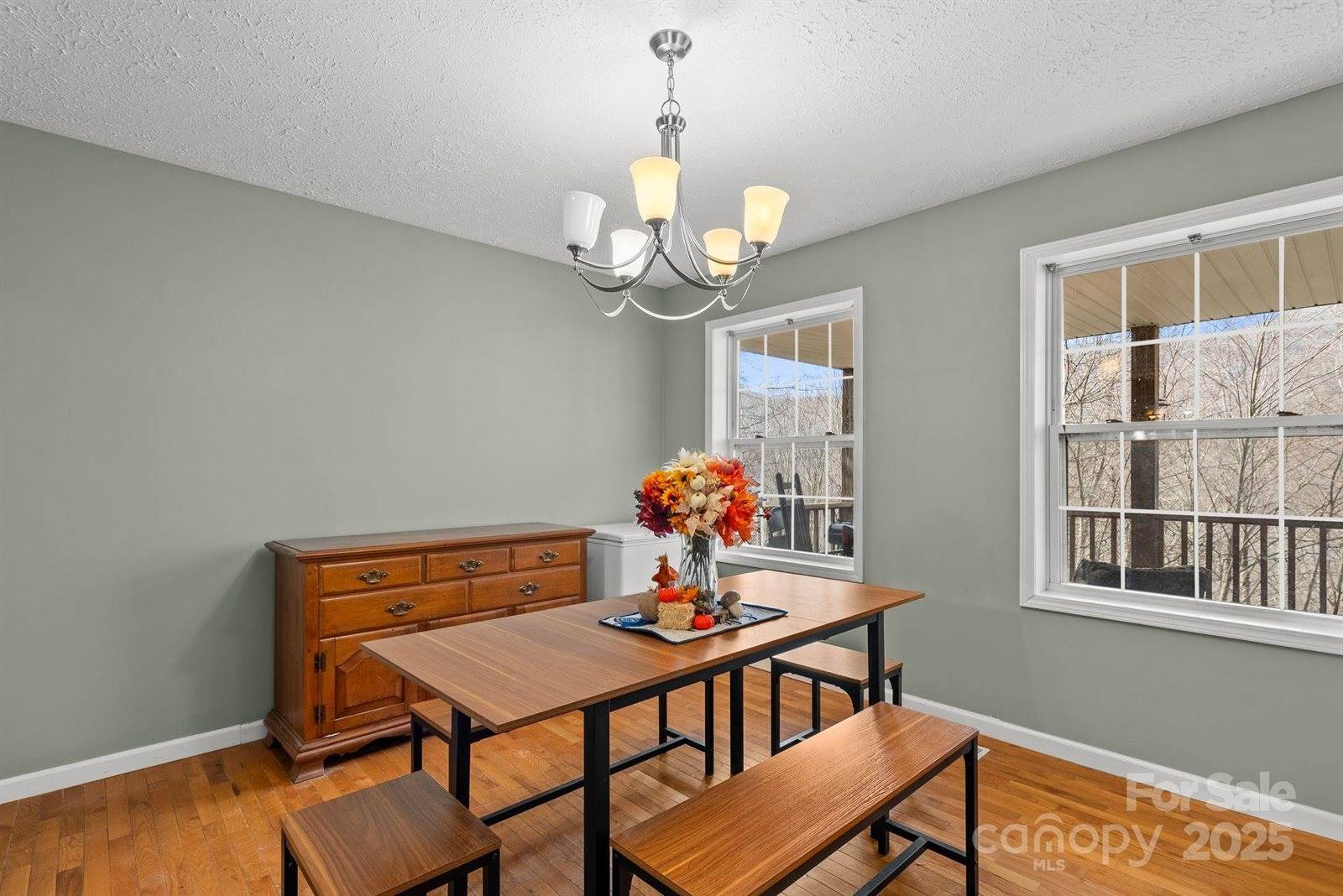 842 Grouse Road, Clyde, NC 28721