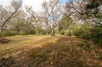 11428 Debbie Lane, Iola, TX 77861