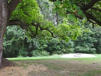 34956 Clay Bank Road, Logan, OH 43138