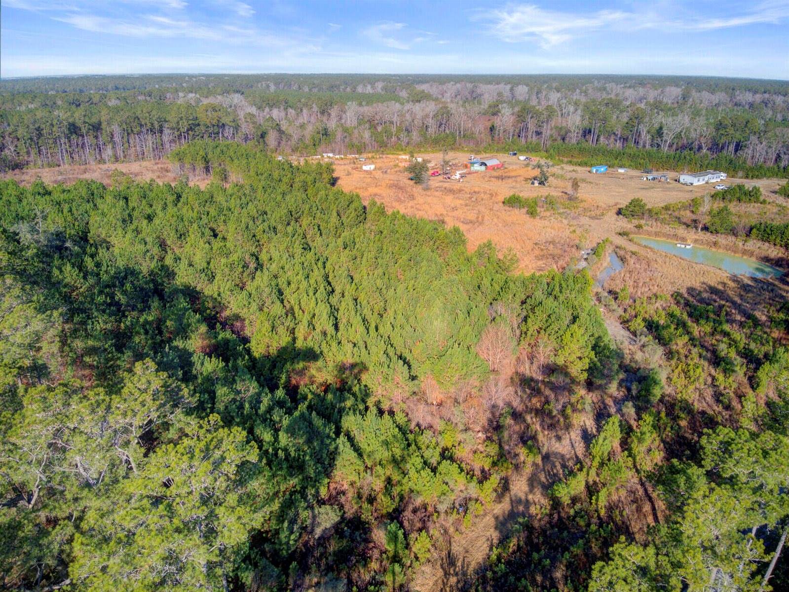 00 Hill Branch Road, Ridgeville, SC 29472