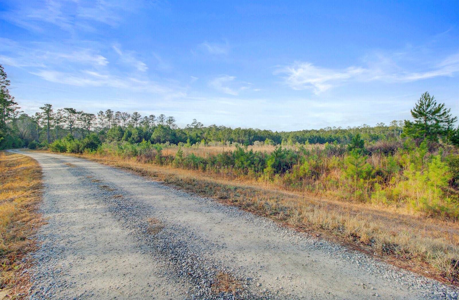 00 Hill Branch Road, Ridgeville, SC 29472