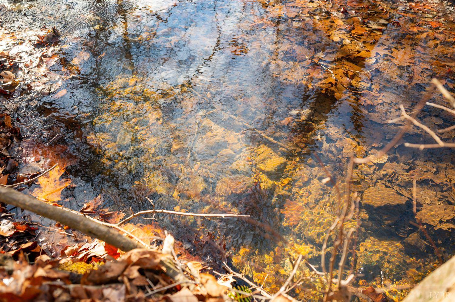 128 Woodhaven Court, Madison Heights, VA 24572