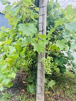 4520 Marion Ave, Galion, OH 44833