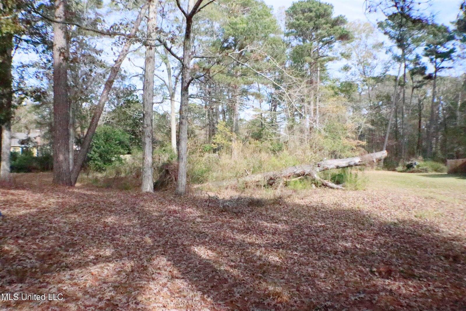 1074 Halton Court, Brandon, MS 39047