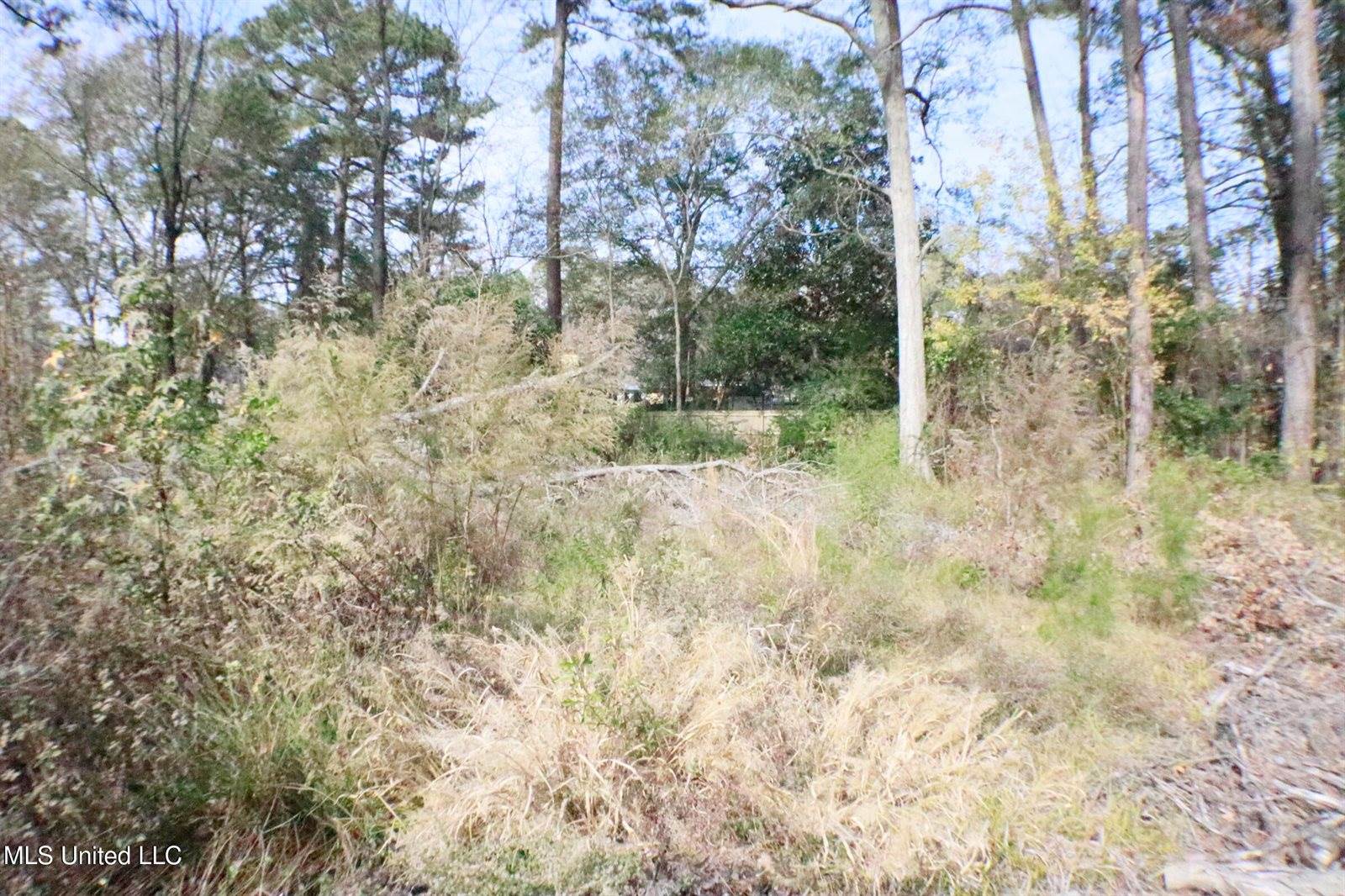 1074 Halton Court, Brandon, MS 39047