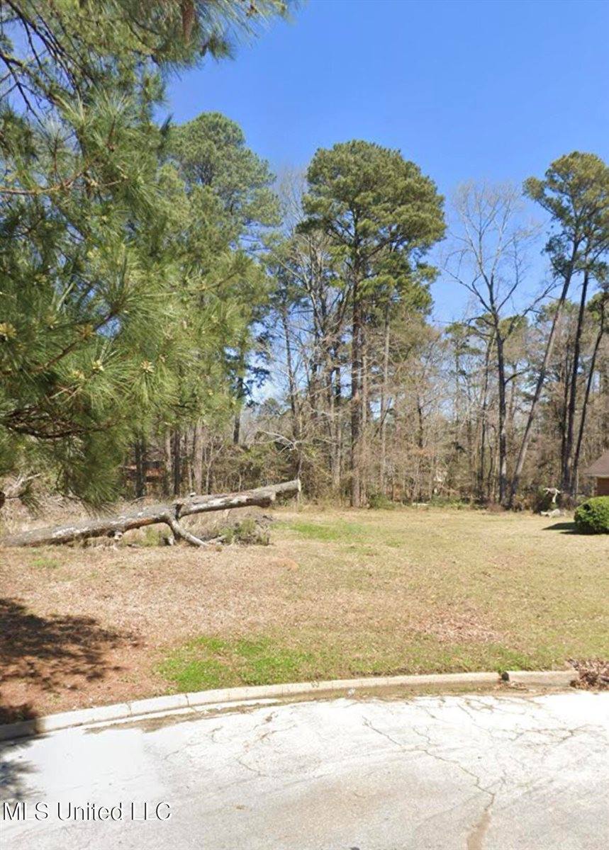 1074 Halton Court, Brandon, MS 39047