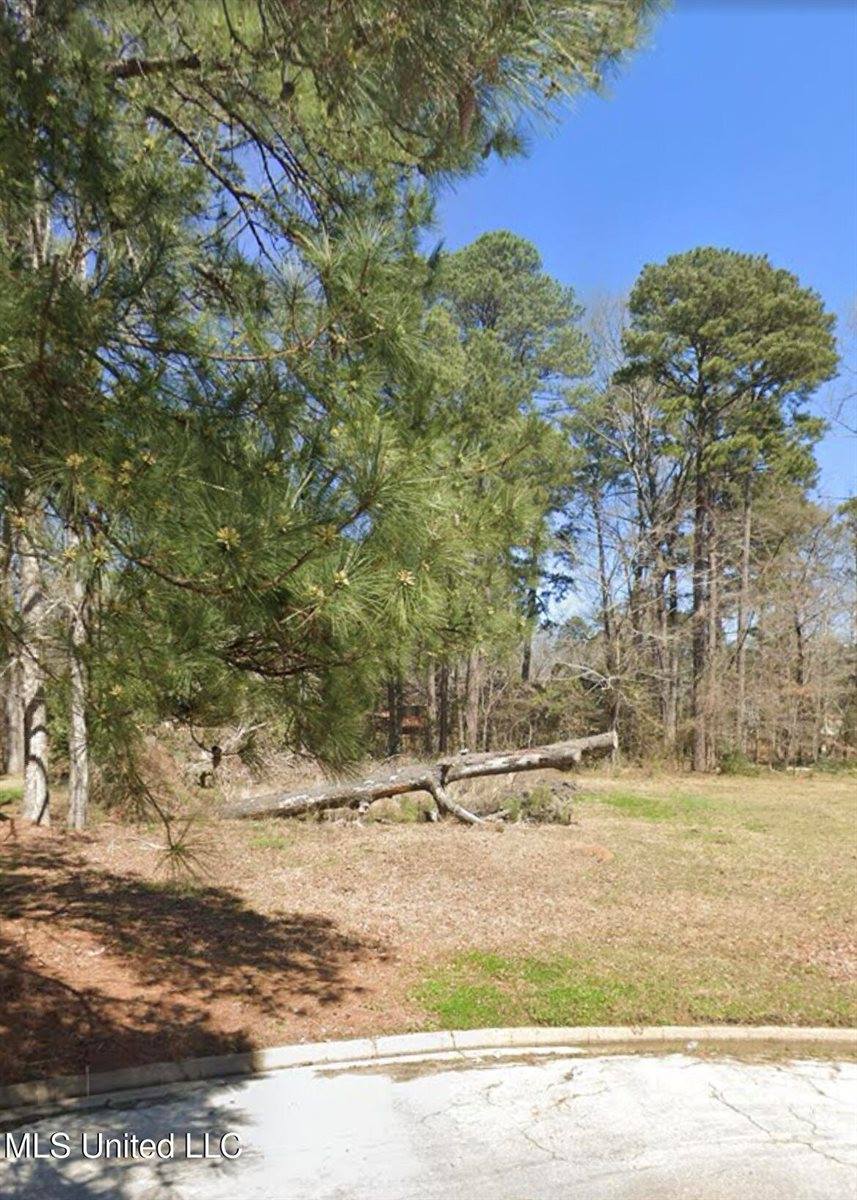 1074 Halton Court, Brandon, MS 39047