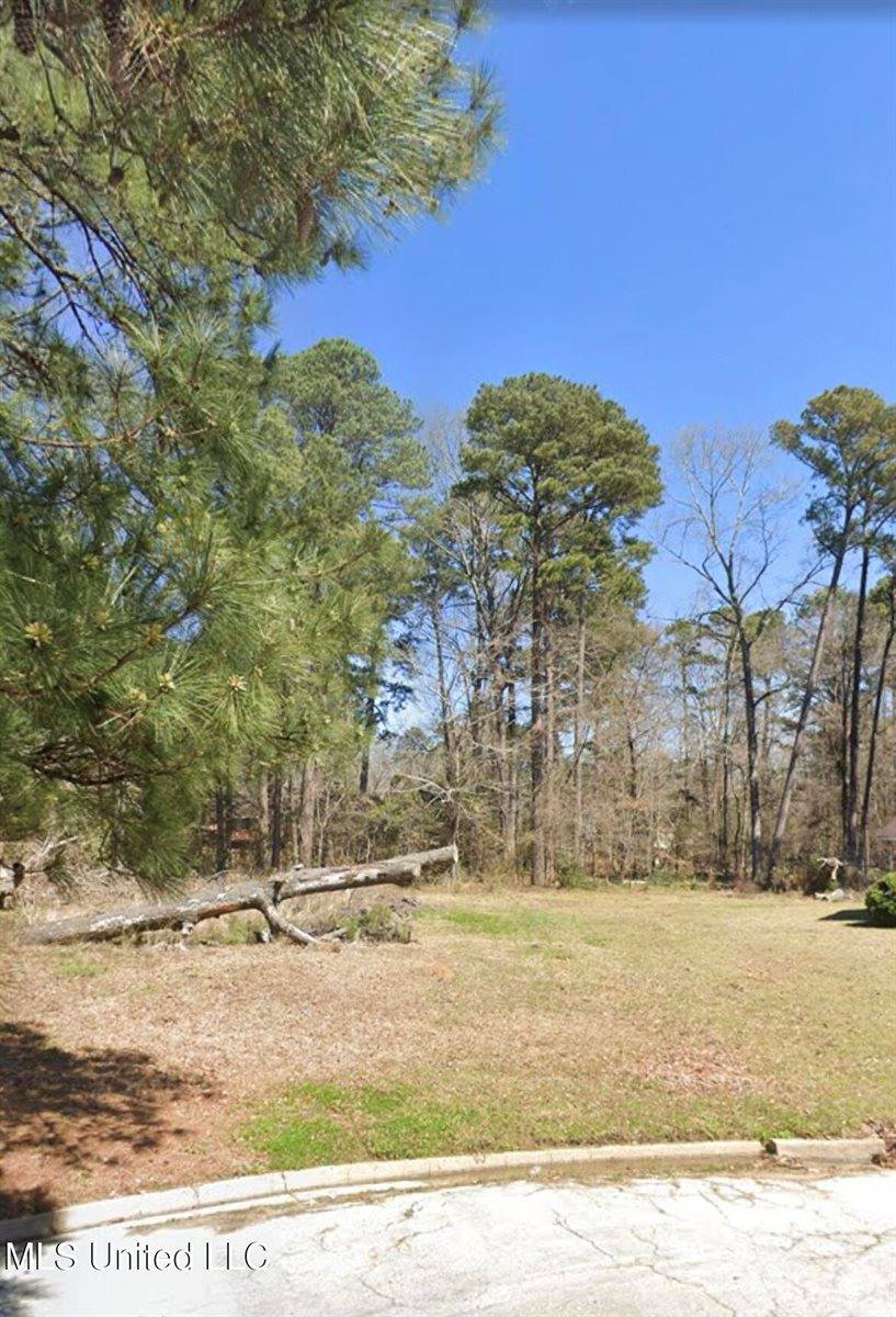 1074 Halton Court, Brandon, MS 39047