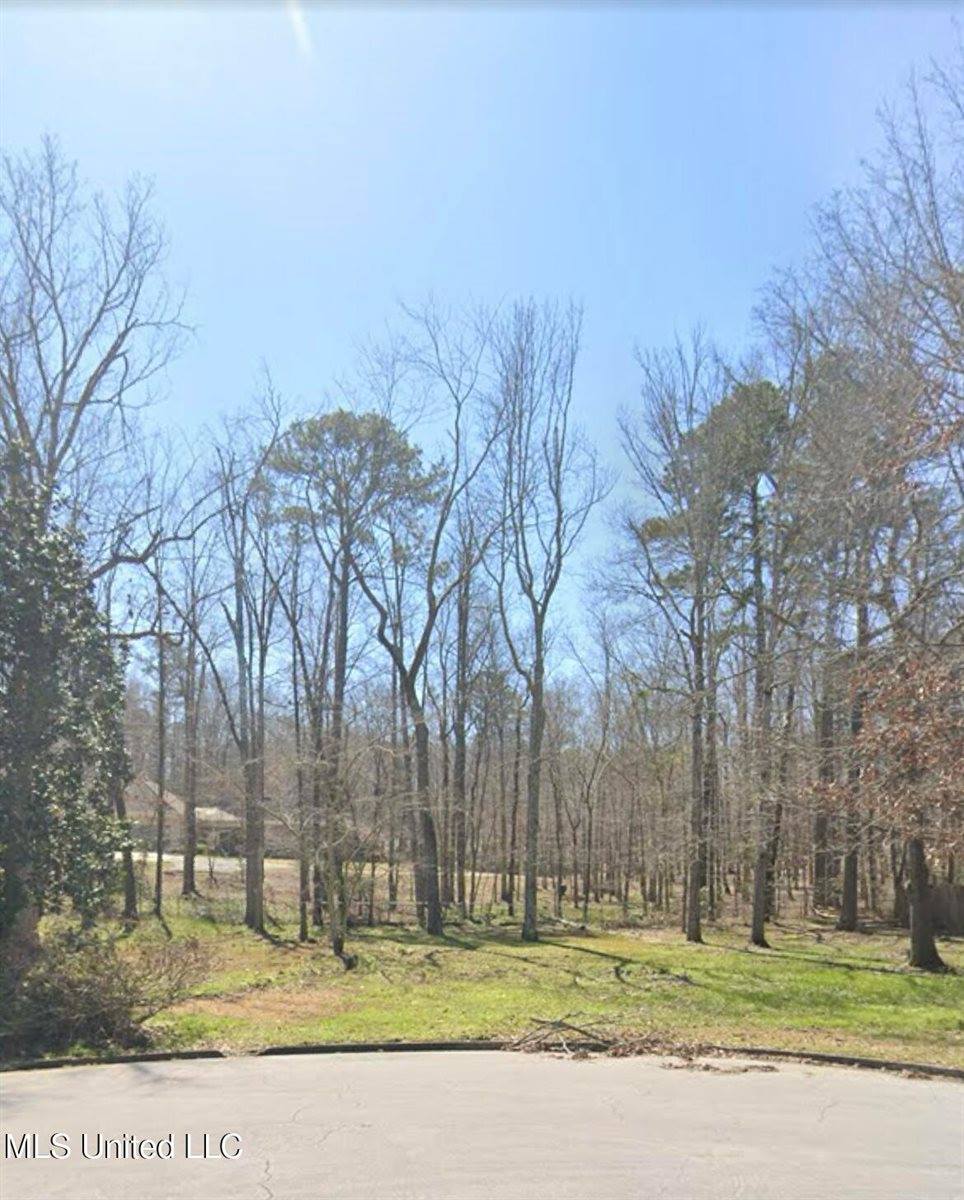 1069 Halton Court, Brandon, MS 39047