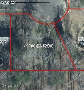1069 Halton Court, Brandon, MS 39047