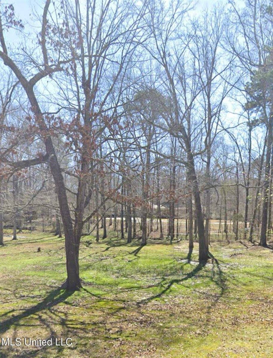 1069 Halton Court, Brandon, MS 39047