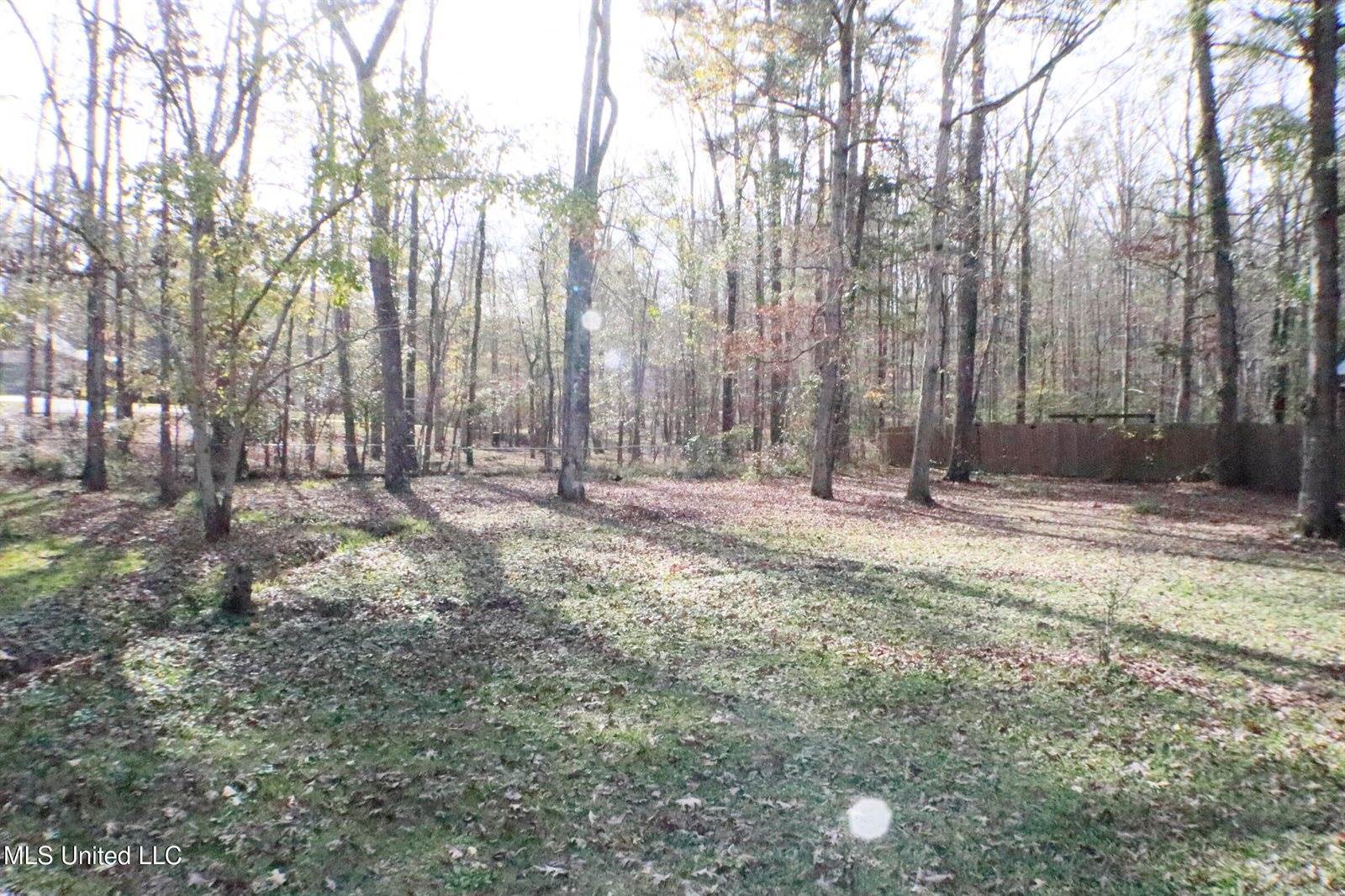 1069 Halton Court, Brandon, MS 39047