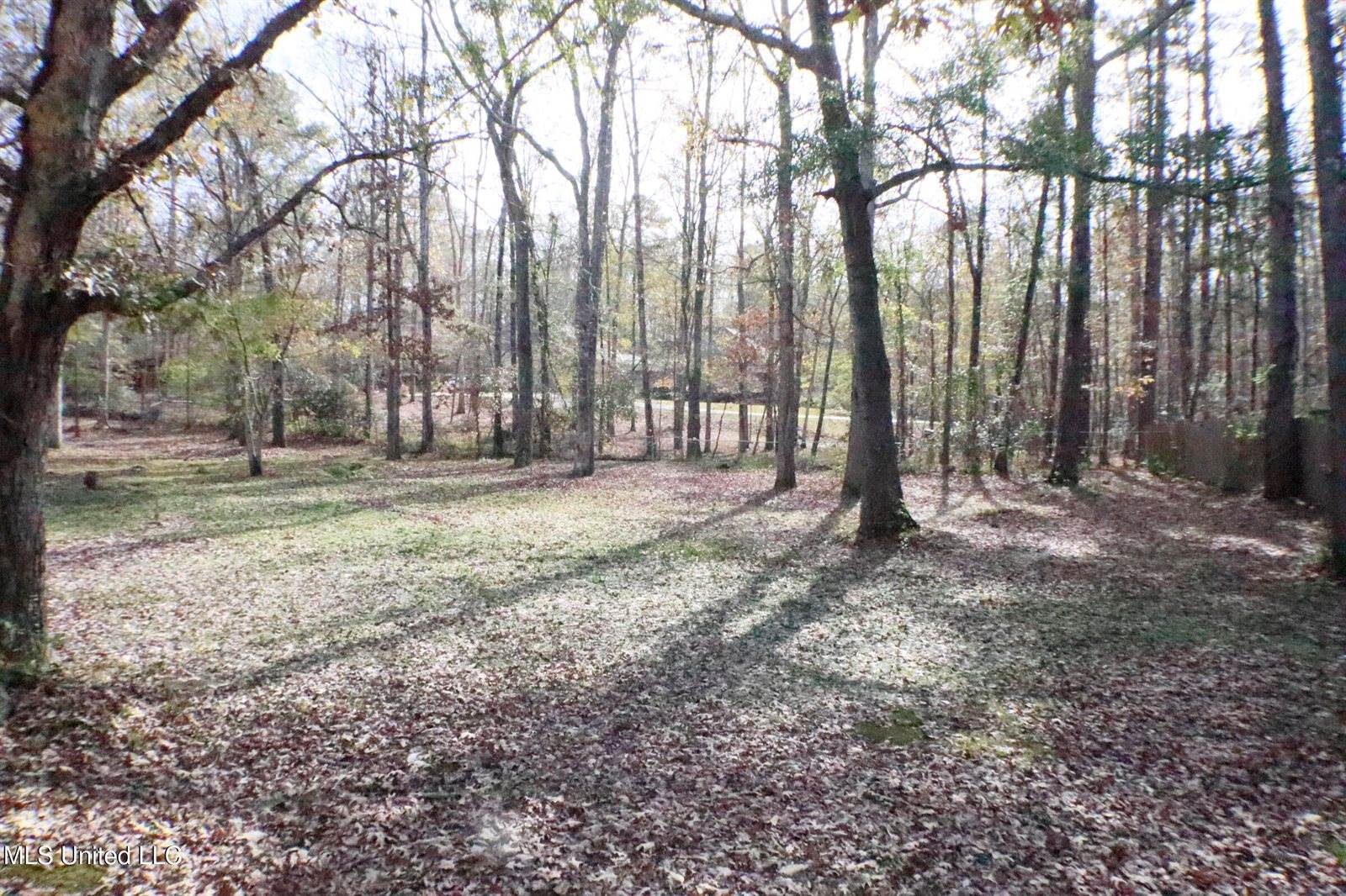 1069 Halton Court, Brandon, MS 39047