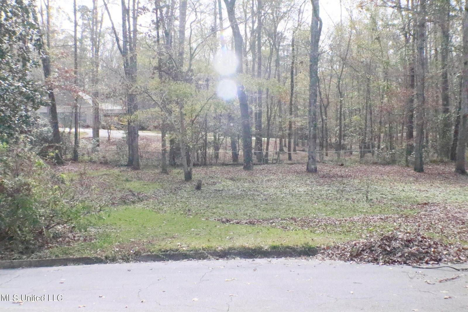 1069 Halton Court, Brandon, MS 39047