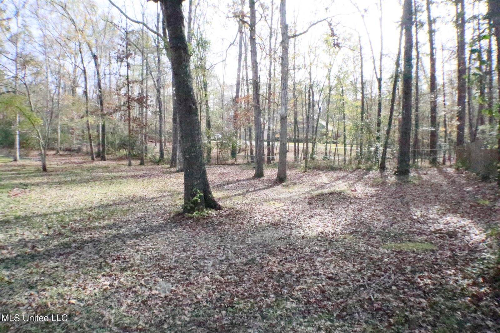 1069 Halton Court, Brandon, MS 39047