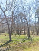 1069 Halton Court, Brandon, MS 39047