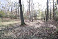 1069 Halton Court, Brandon, MS 39047