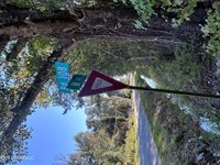 F Street, Biloxi, MS 39532