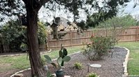 9706 Rosemire Way, San Antonio, TX 78254