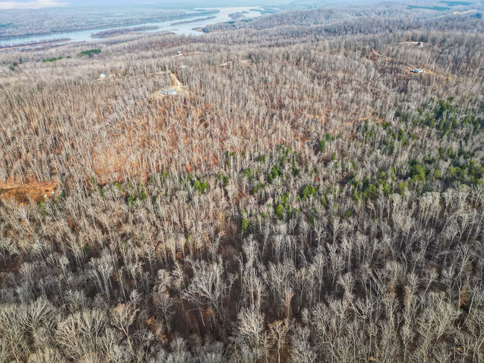 Lot 59 Rustic Valley Dr, Waverly, TN 37185