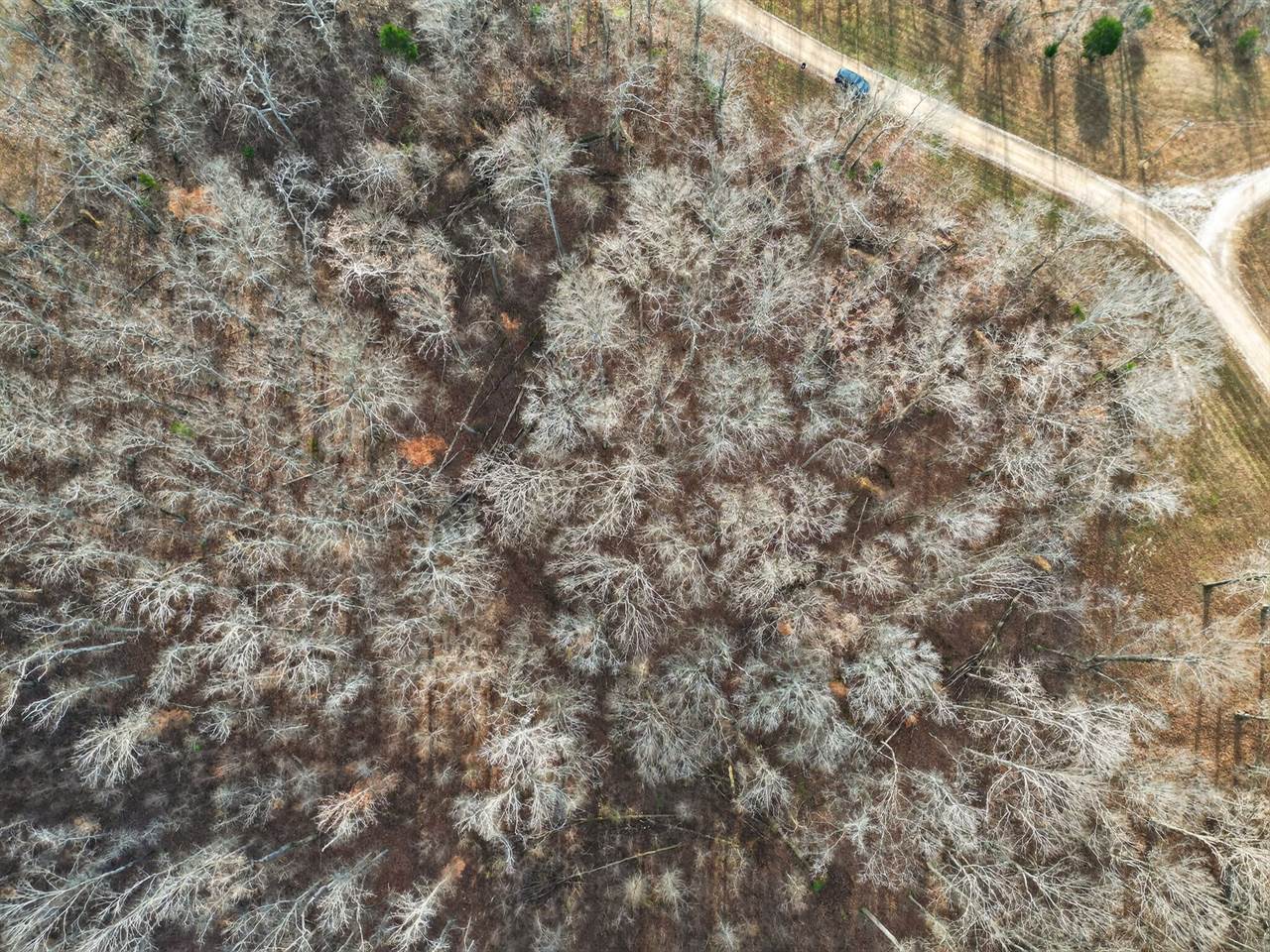 Lot 59 Rustic Valley Dr, Waverly, TN 37185