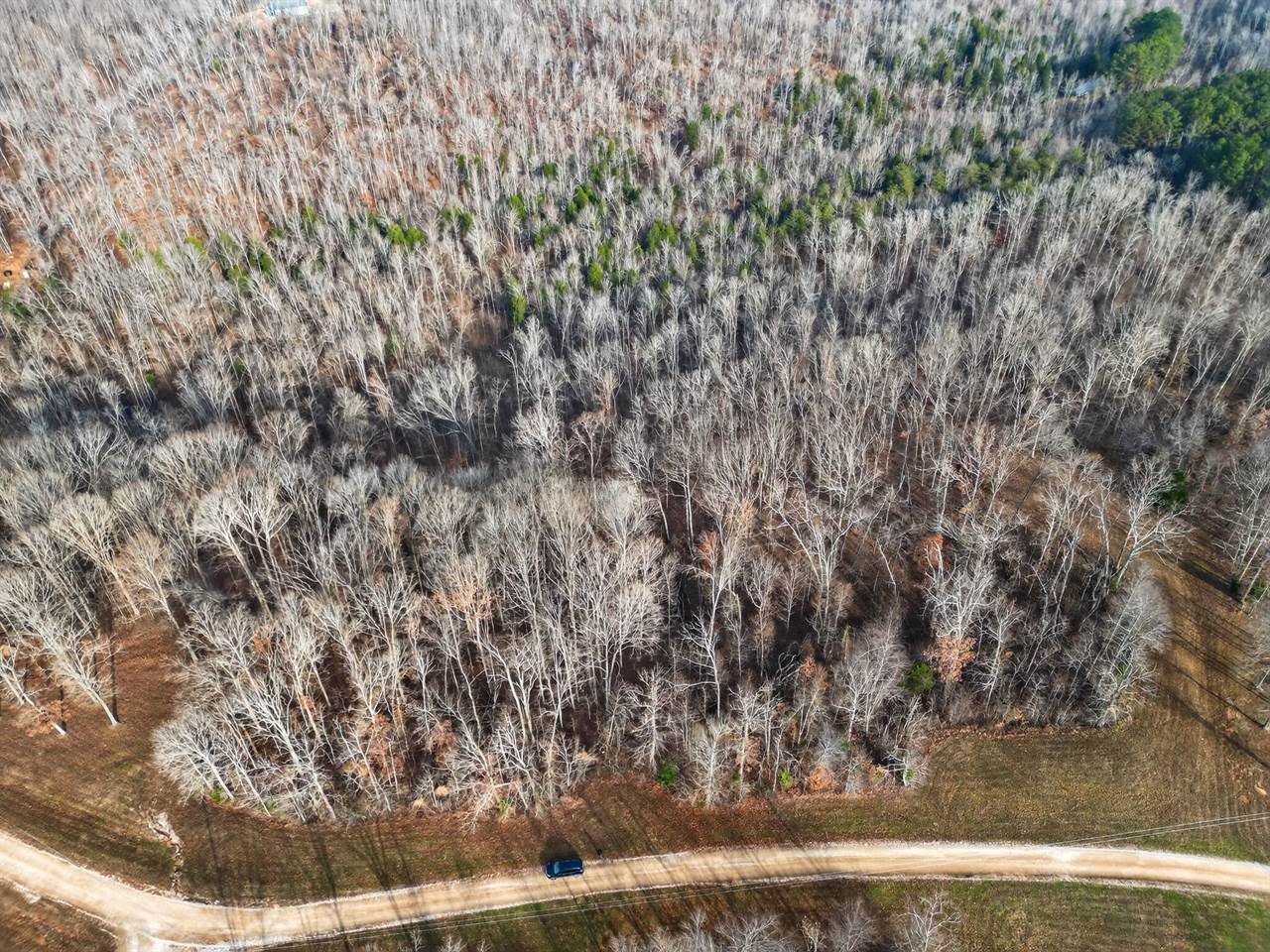 Lot 59 Rustic Valley Dr, Waverly, TN 37185