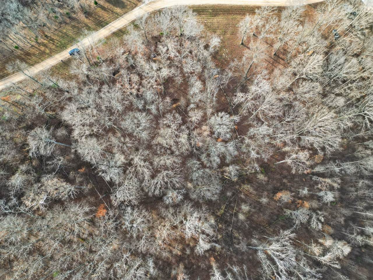 Lot 59 Rustic Valley Dr, Waverly, TN 37185