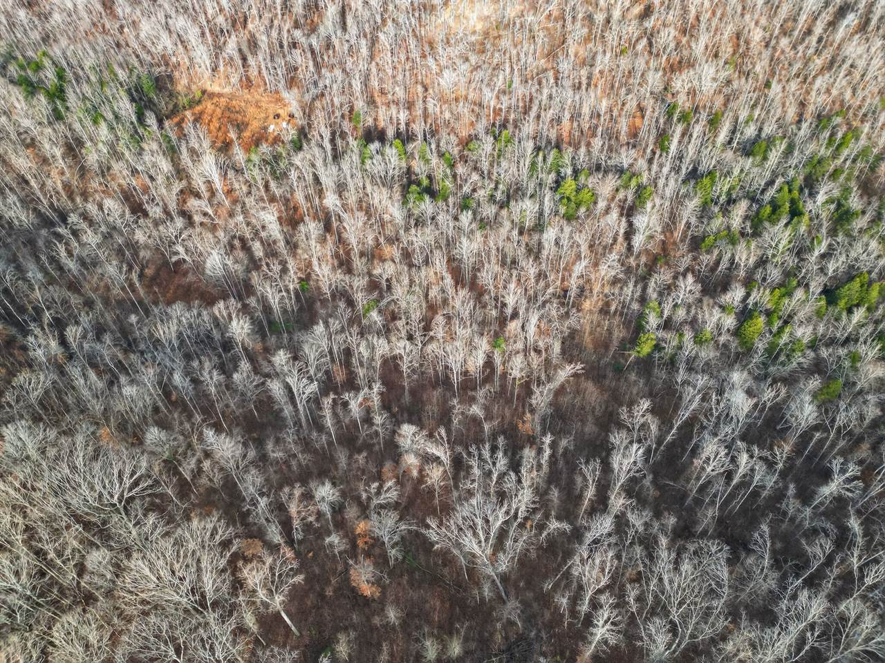 Lot 59 Rustic Valley Dr, Waverly, TN 37185