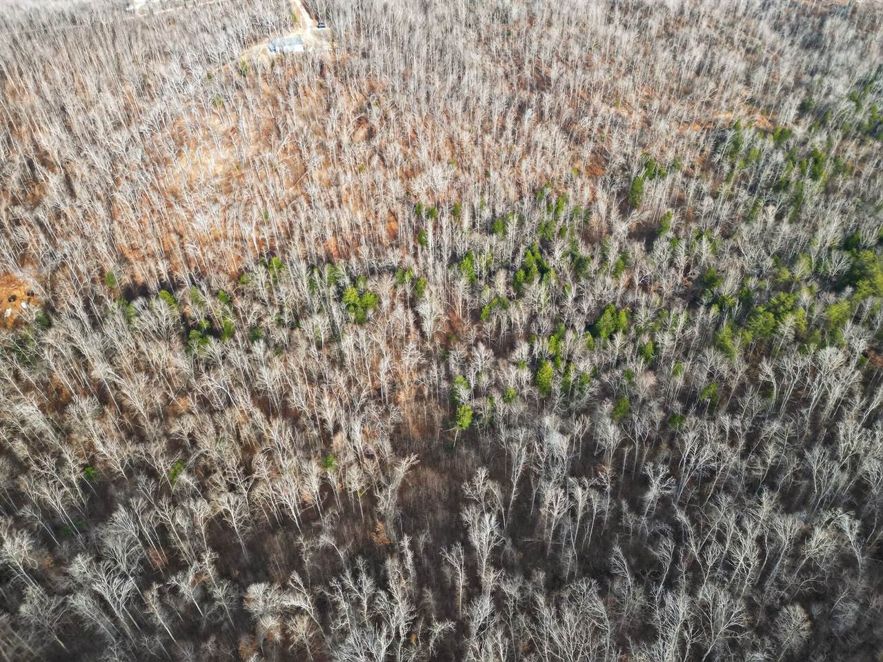 Lot 59 Rustic Valley Dr, Waverly, TN 37185