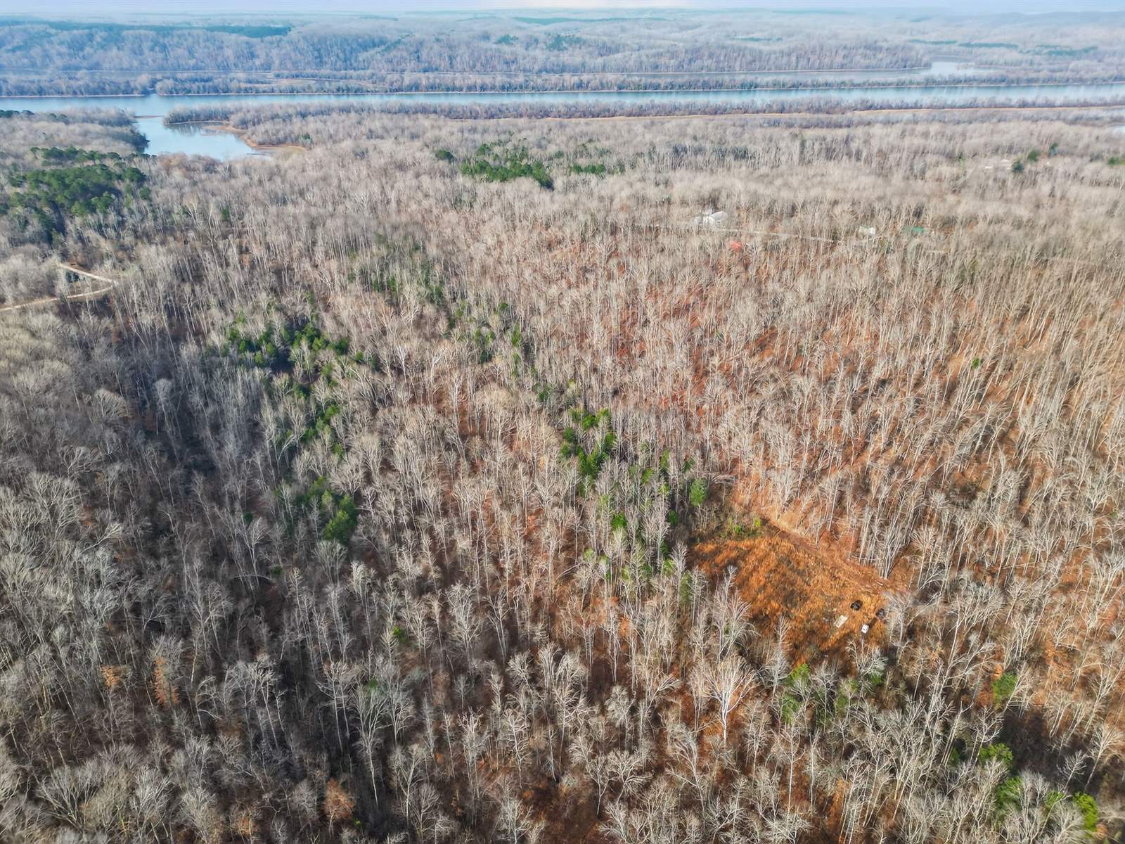 Lot 59 Rustic Valley Dr, Waverly, TN 37185