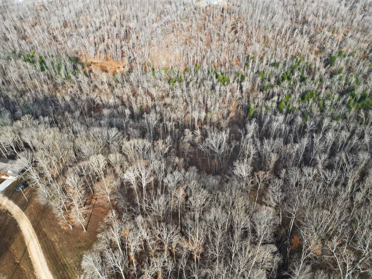 Lot 59 Rustic Valley Dr, Waverly, TN 37185