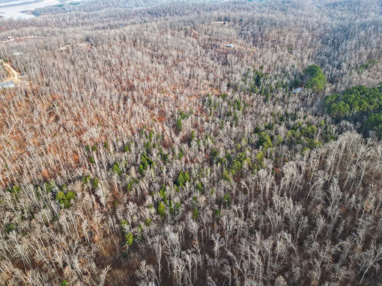 Lot 59 Rustic Valley Dr, Waverly, TN 37185