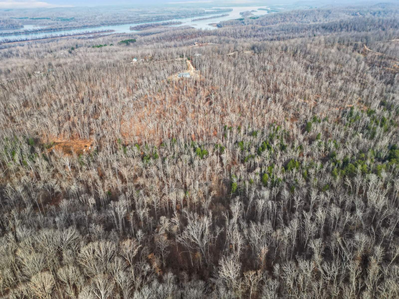 Lot 59 Rustic Valley Dr, Waverly, TN 37185