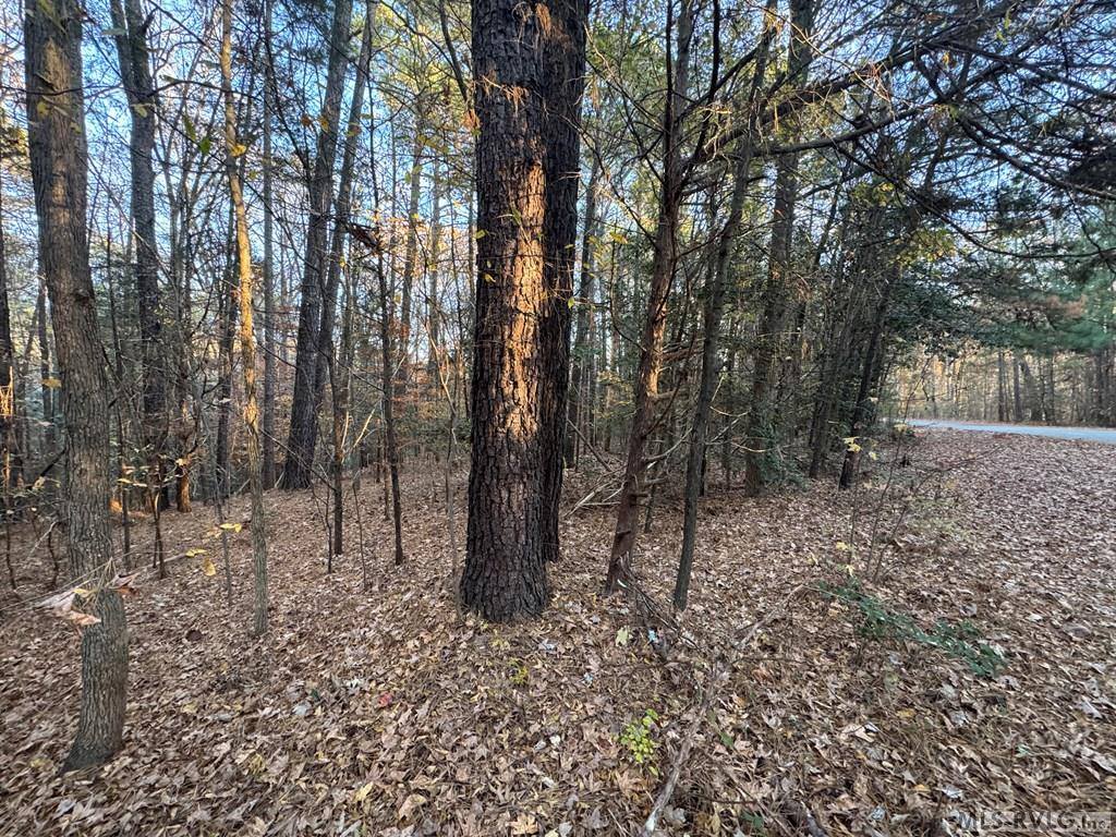 LOT 51 Windward Passage, Bracey, VA 23919
