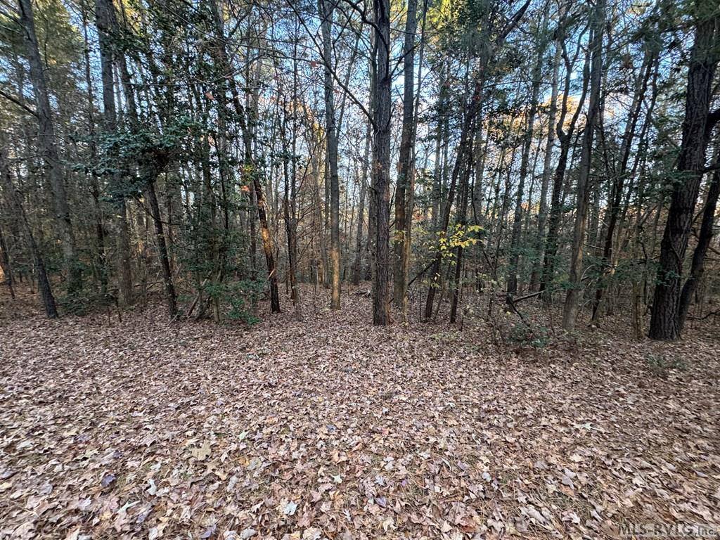 LOT 51 Windward Passage, Bracey, VA 23919