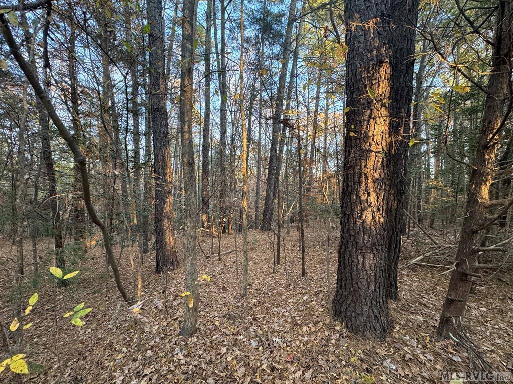 LOT 51 Windward Passage, Bracey, VA 23919