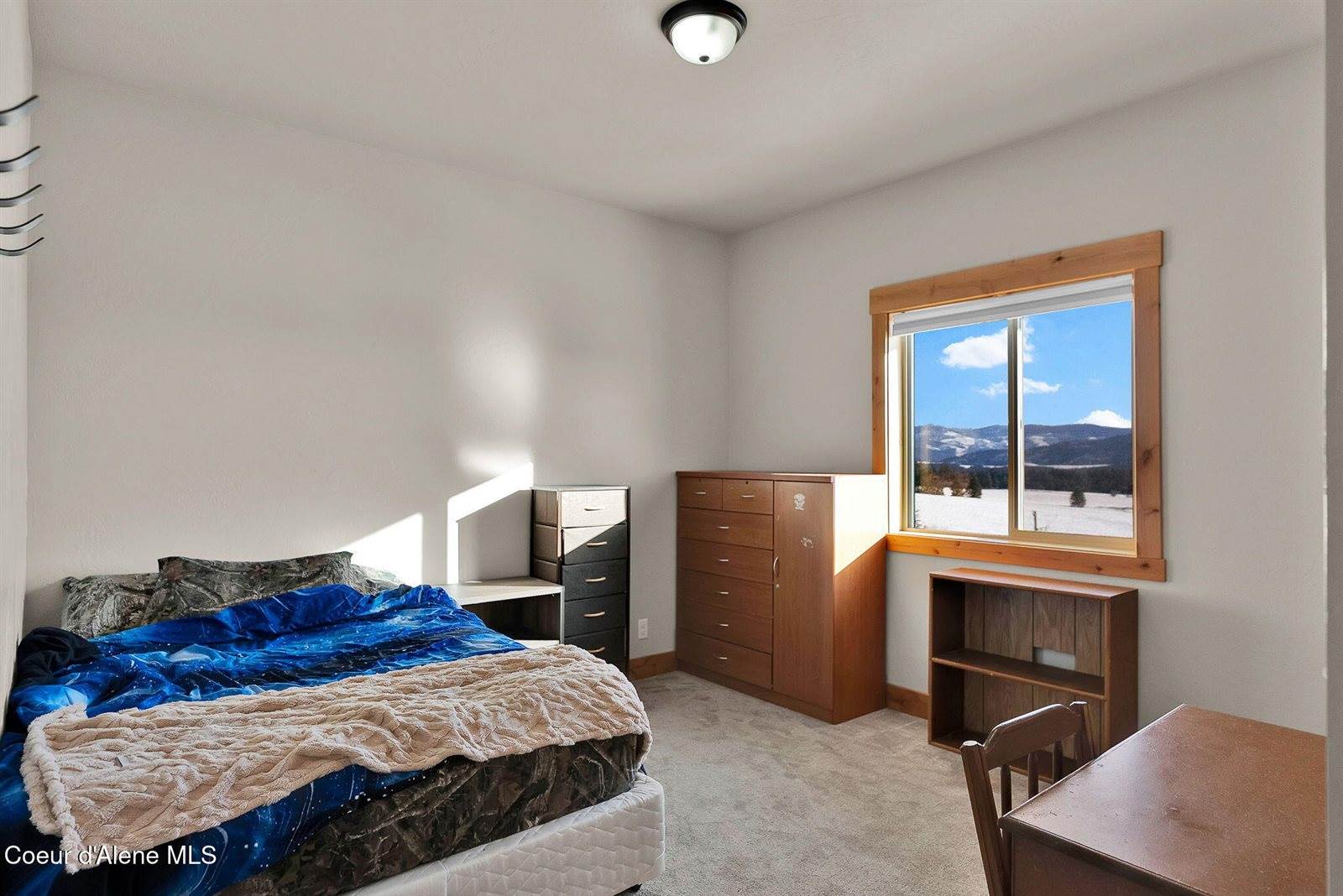 5383 East Van Dusen Rd, Harrison, ID 83833